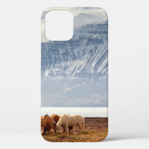 ICELAND iPhone 12 CASE
