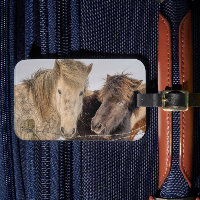 Iceland Horses Luggage Tag (Front Insitu 4)