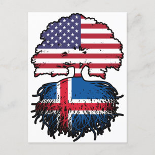 Iceland Icelandic American USA United States Postcard