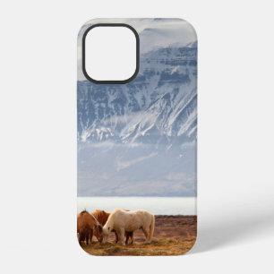 ICELAND iPhone 12 CASE