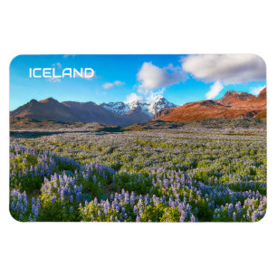 Iceland Magnet