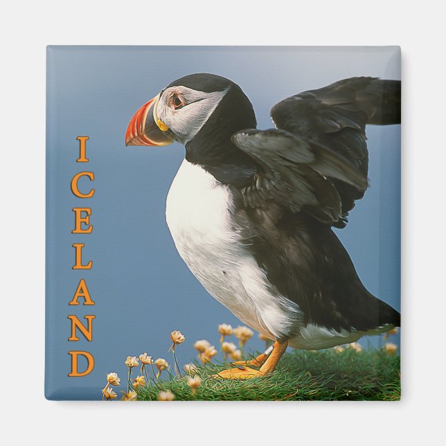 Iceland Magnet (Front)