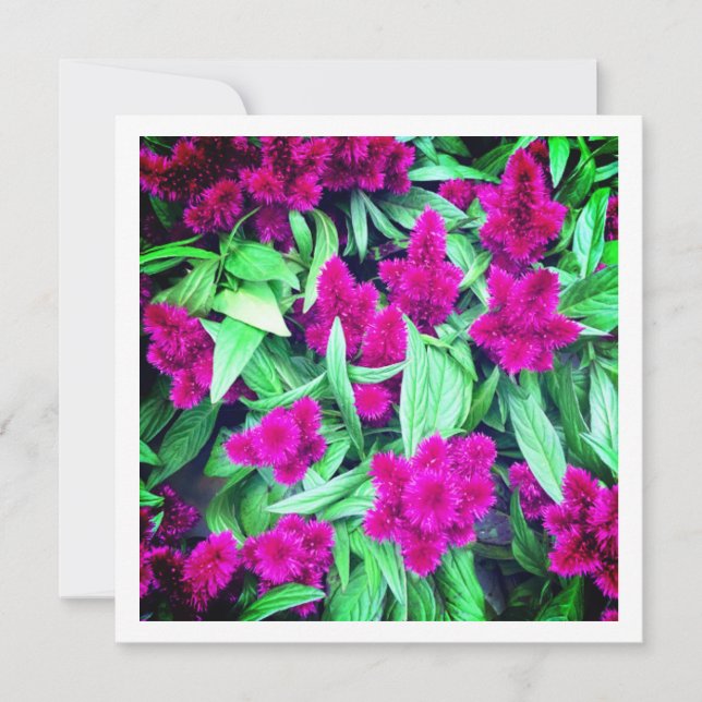 Iceland - Personalised card (Front)