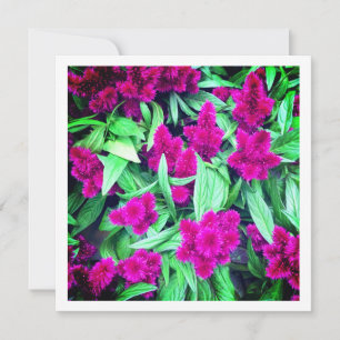 Iceland - Personalised card