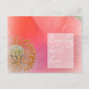 Iceland Poppy Beauty Post Card