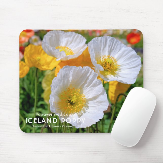 Iceland Poppy Mouse Pad (With Mouse)