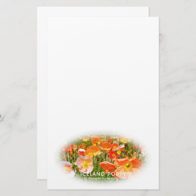 Iceland Poppy Stationery (Front/Back)