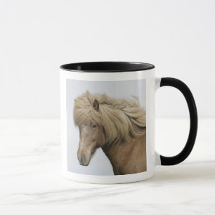 Iceland. Portrait of an Icelandic horse. Mug