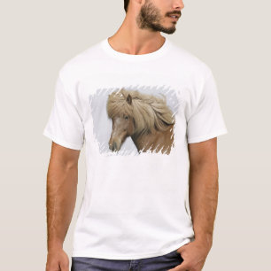 Iceland. Portrait of an Icelandic horse. T-Shirt