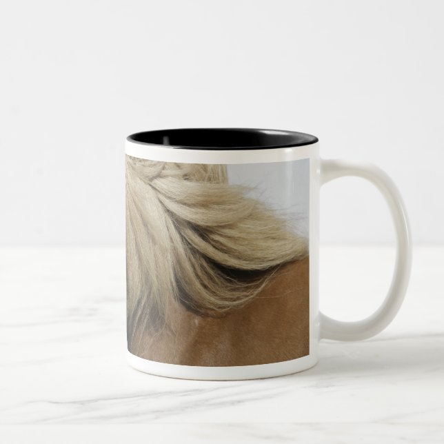 Iceland. Portrait of an Icelandic horse. Two-Tone Coffee Mug (Right)