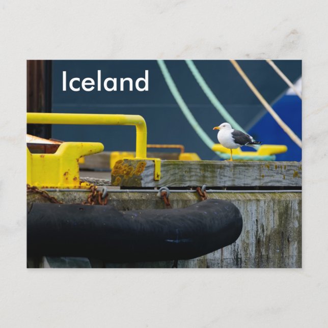 Iceland postcard (Front)