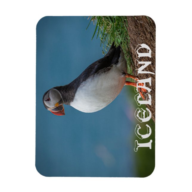 ICELAND PUFFIN MAGNET (Vertical)