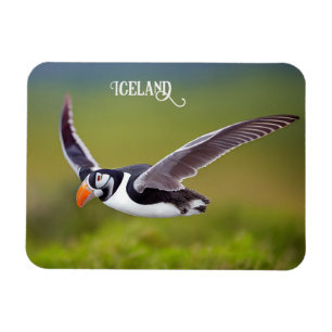 Iceland Puffin Magnet