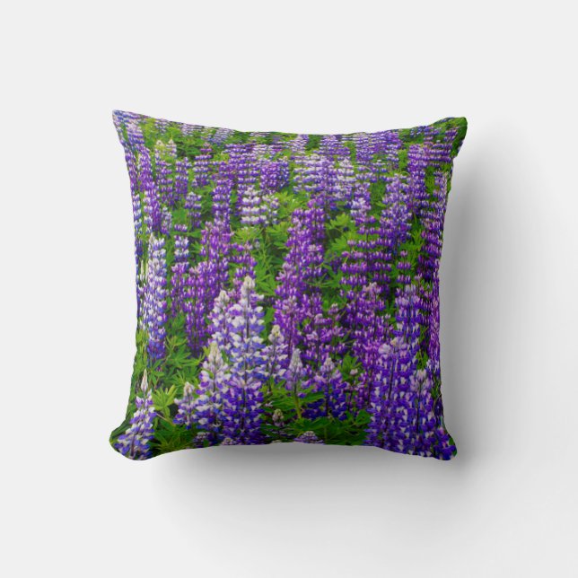 Iceland. Vik i Myrdal. Field of Lupines Cushion (Front)