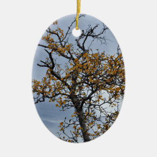 Icelandic Birch Ornament