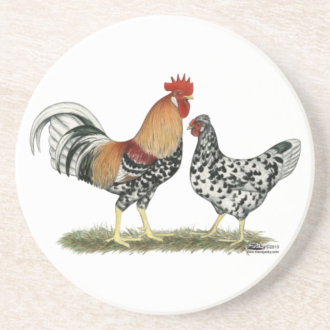 Icelandic Chickens Coaster (Front)