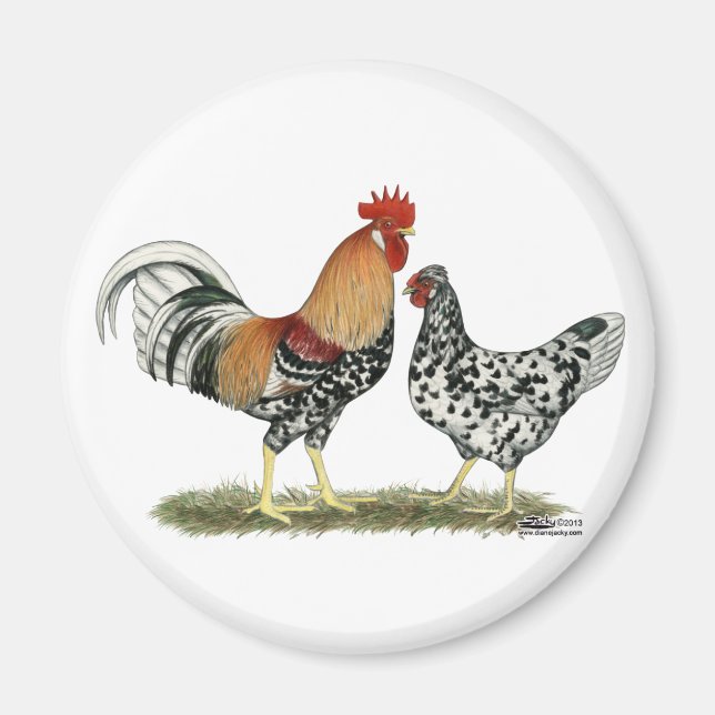 Icelandic Chickens Magnet (Front)