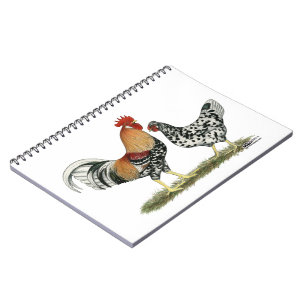 Icelandic Chickens Notebook