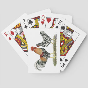 Icelandic Chickens Playing Cards