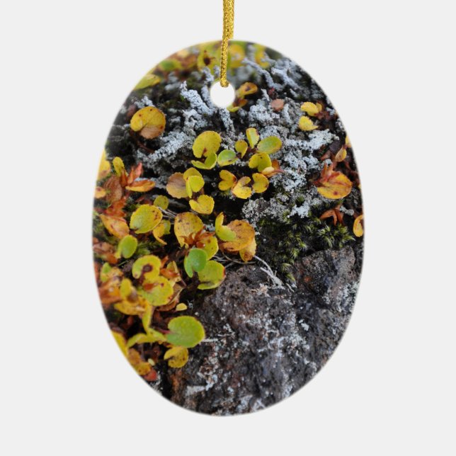 Icelandic Ground Cover Ornament (Front)