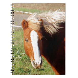 Icelandic Horse 001 Notebook
