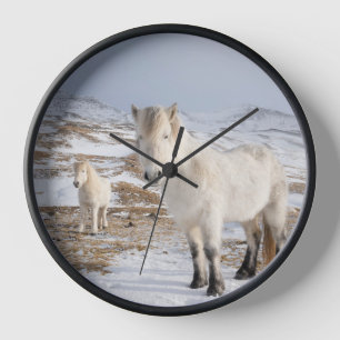 Icelandic Horse Blonduos, Iceland Clock