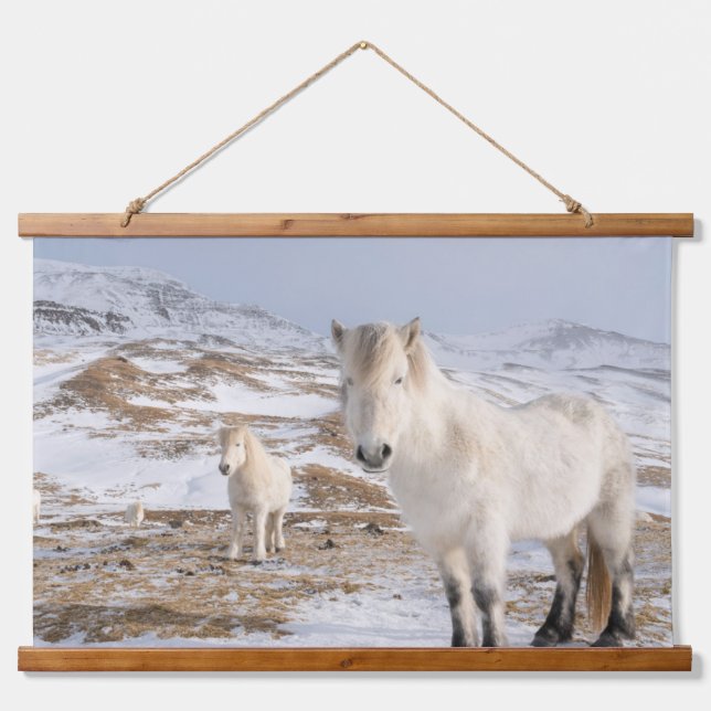Icelandic Horse | Blonduos, Iceland Hanging Tapestry (Front)