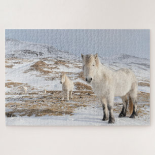 Icelandic Horse   Blonduos, Iceland Jigsaw Puzzle