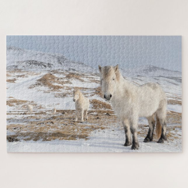 Icelandic Horse | Blonduos, Iceland Jigsaw Puzzle (Horizontal)