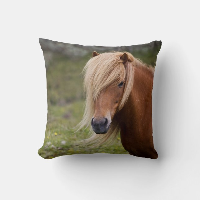 Icelandic Horse Cushion (Front)