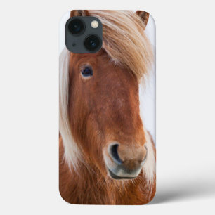 Icelandic Horse during winter 2 iPhone 13 Case