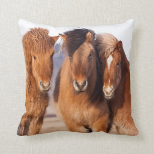 Icelandic Horse during winter Cushion