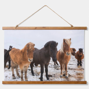 Icelandic Horse During Winter Iceland Hanging Tapestry