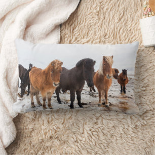 Icelandic Horse During Winter Iceland Lumbar Cushion