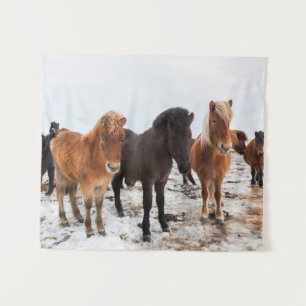 Icelandic Horse During Winter Iceland Tapestry