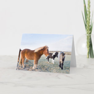 Icelandic Horse During Winter on Iceland Card