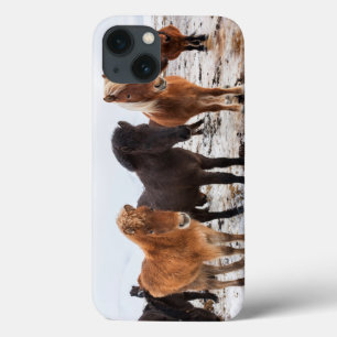 Icelandic Horse during winter on Iceland iPhone 13 Case