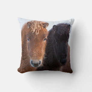Icelandic Horse during winter on Iceland Cushion