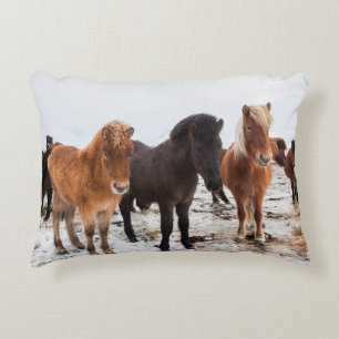 Icelandic Horse during winter on Iceland Decorative Cushion