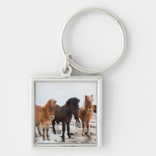 Icelandic Horse during winter on Iceland Key Ring