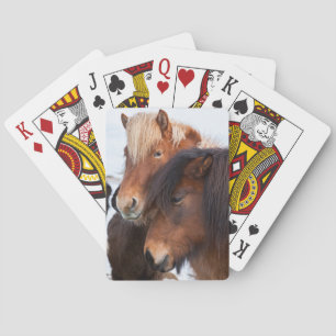 Icelandic Horse during winter on Iceland Playing Cards