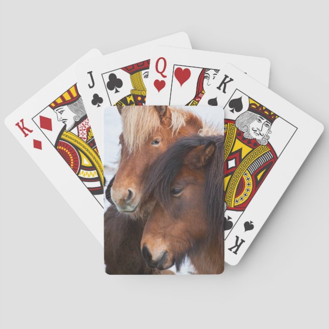 Icelandic Horse during winter on Iceland Playing Cards (Back)