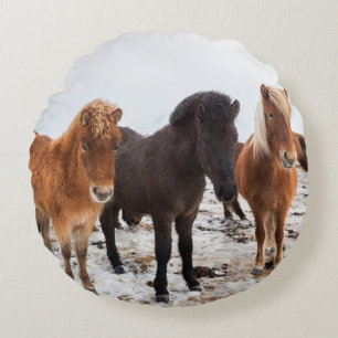 Icelandic Horse during winter on Iceland Round Cushion