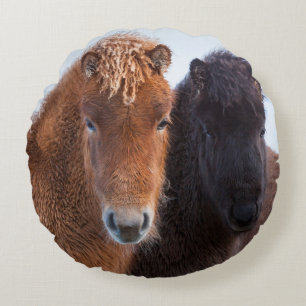 Icelandic Horse during winter on Iceland Round Cushion