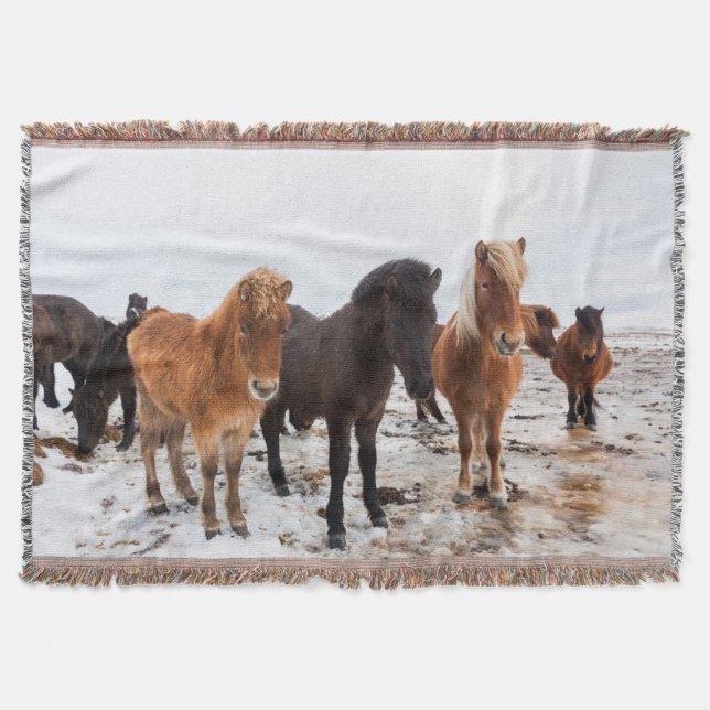 Icelandic Horse during winter on Iceland Throw Blanket (Front)
