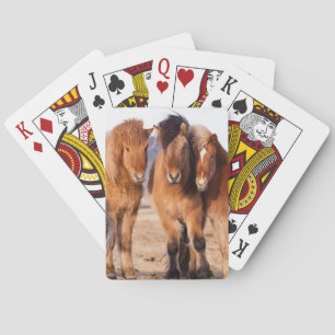 Icelandic Horse during winter Playing Cards