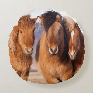 Icelandic Horse during winter Round Cushion