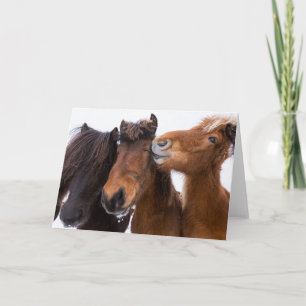 Icelandic Horse Friends, Iceland Card