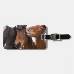 Icelandic Horse friends, Iceland Luggage Tag