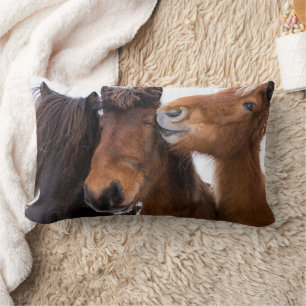 Icelandic Horse Friends, Iceland Lumbar Cushion